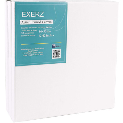 Exerz 30x30cm Stretched Canvas 5pk - 1.7cm/ 280GSM 100% Cotton