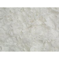 Rosanna Embroidered Lace Fabric Ivory
