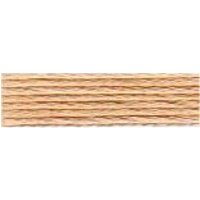 Anchor Stranded Cotton Embroidery Thread (Value Pack) 880