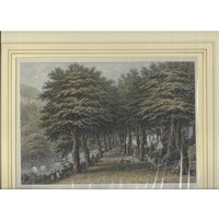 George Brannon Colour Print: The Valley Of Bonchurch (1848)